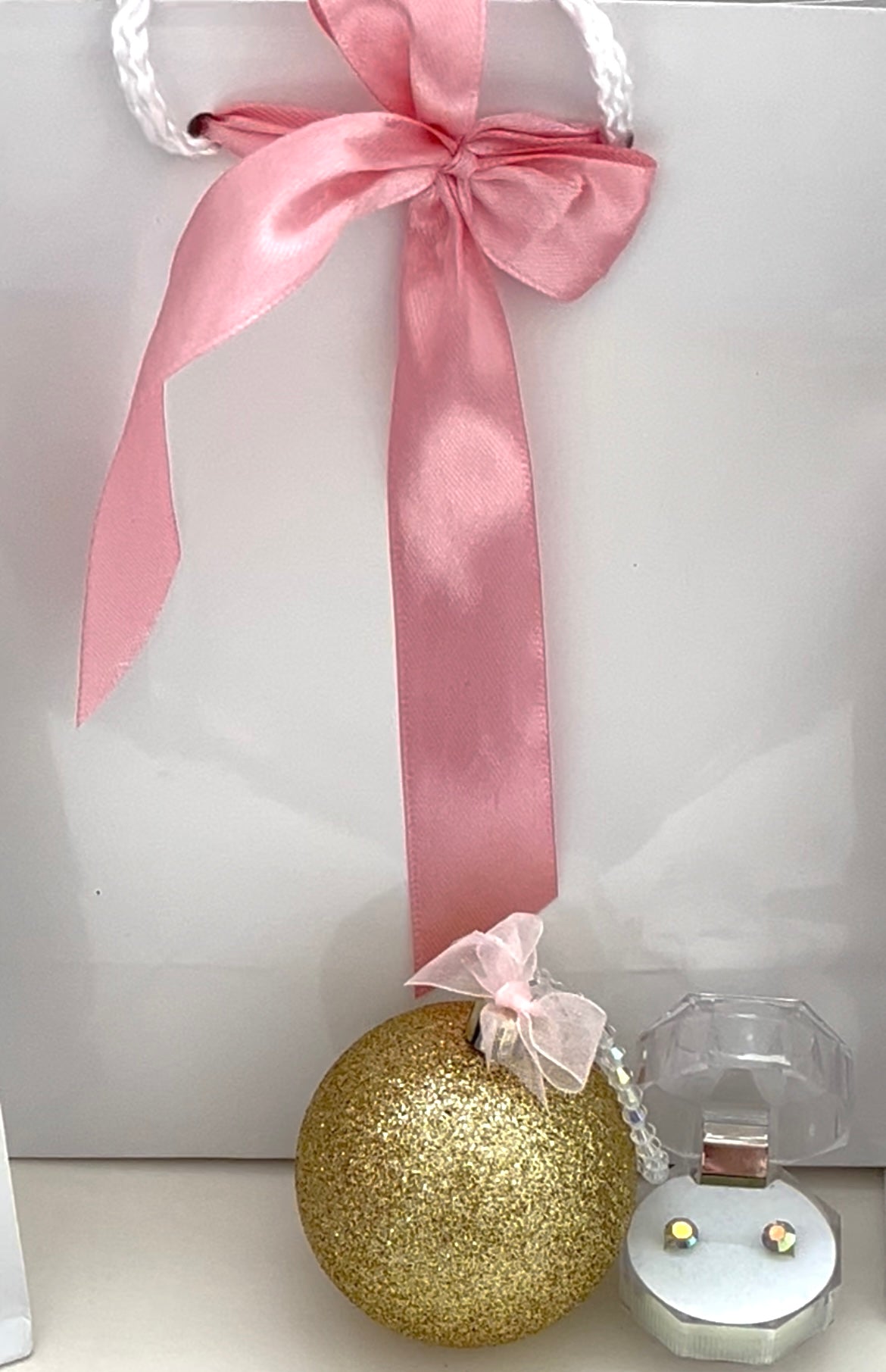 The $20 Christmas Gift Bag - (Six varieties available) - Rescinti