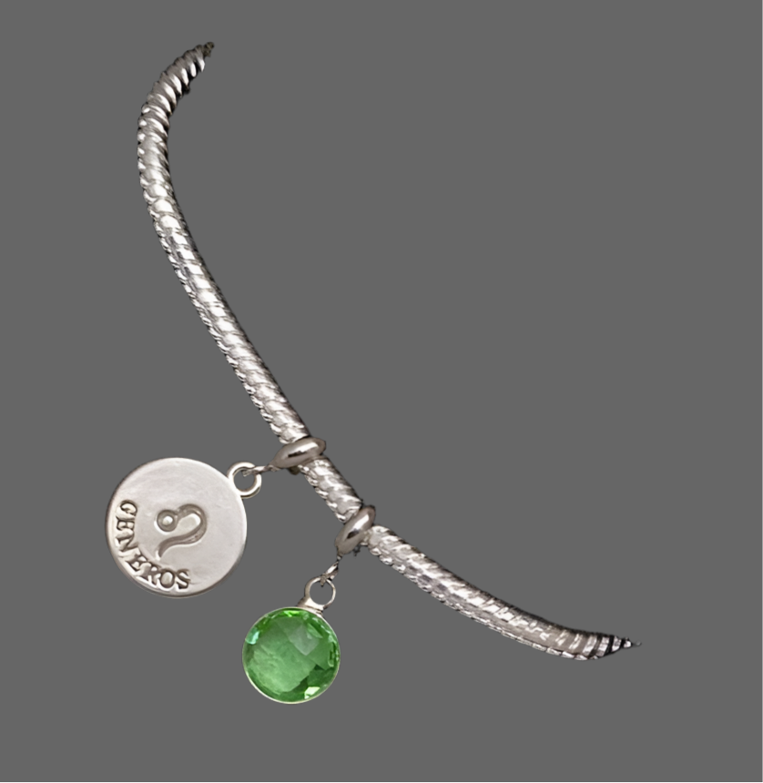 The Silver Zodiac Bracelet - Rescinti